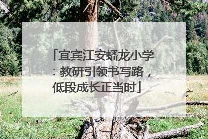 宜宾江安蟠龙小学：教研引领书写路，低段成长正当时